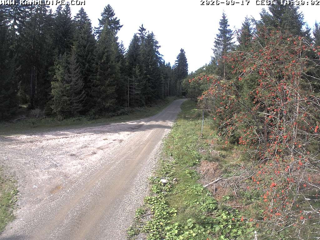 Archiv Foto Webcam Talsperre Carlsfeld