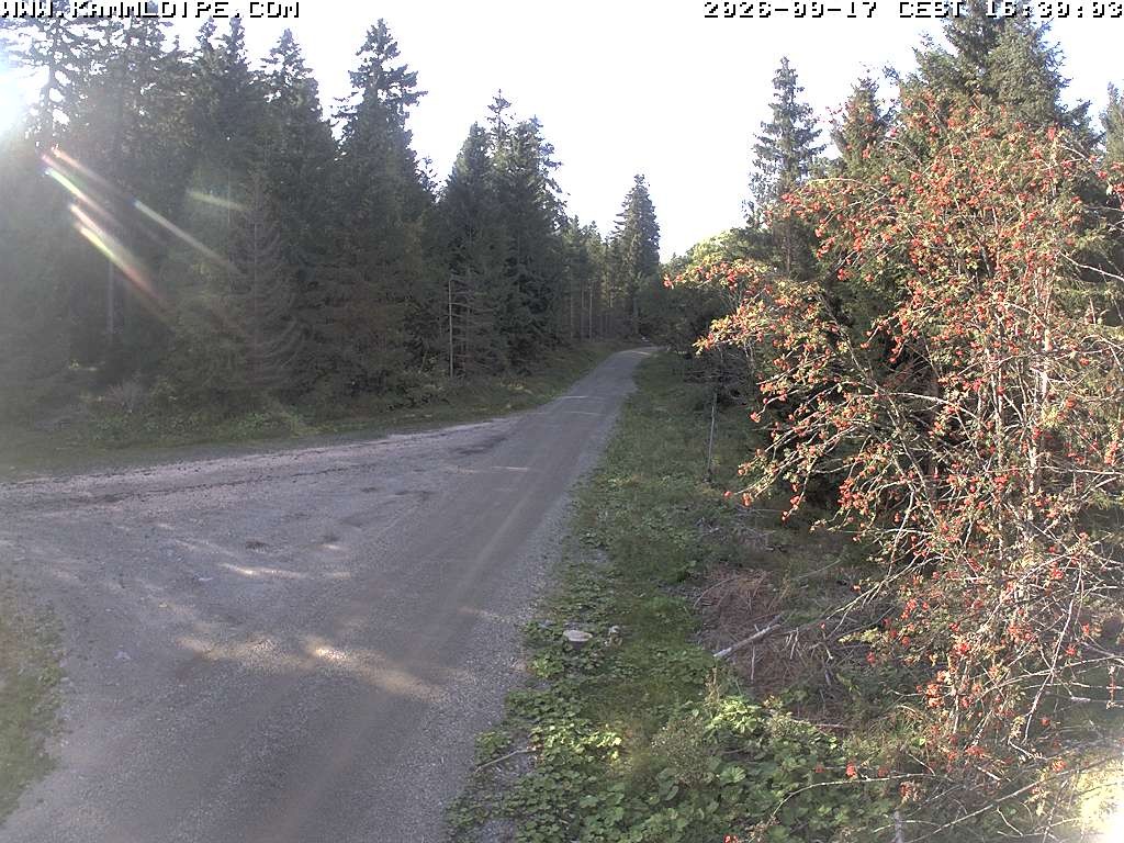 Archiv Foto Webcam Talsperre Carlsfeld