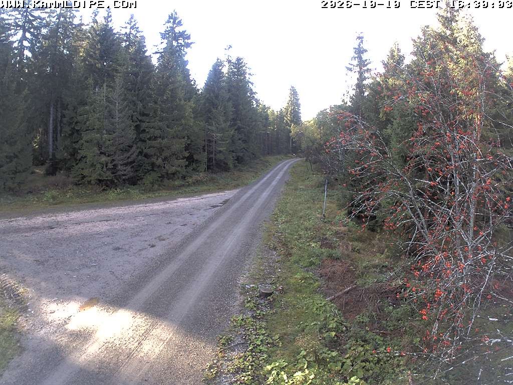 Archived image Webcam Flössweg Carlsfeld