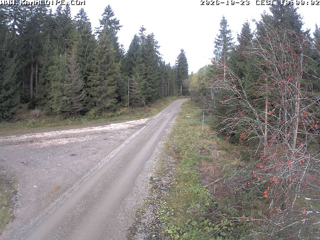 Archiv Foto Webcam Talsperre Carlsfeld