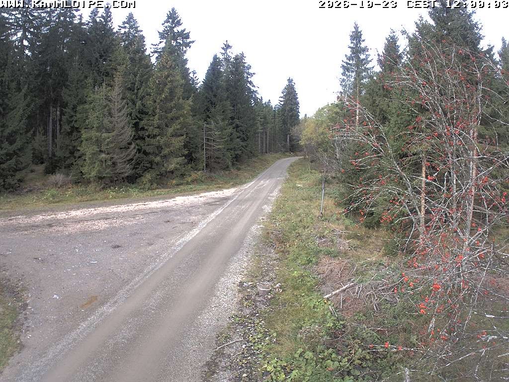 Archiv Foto Webcam Talsperre Carlsfeld