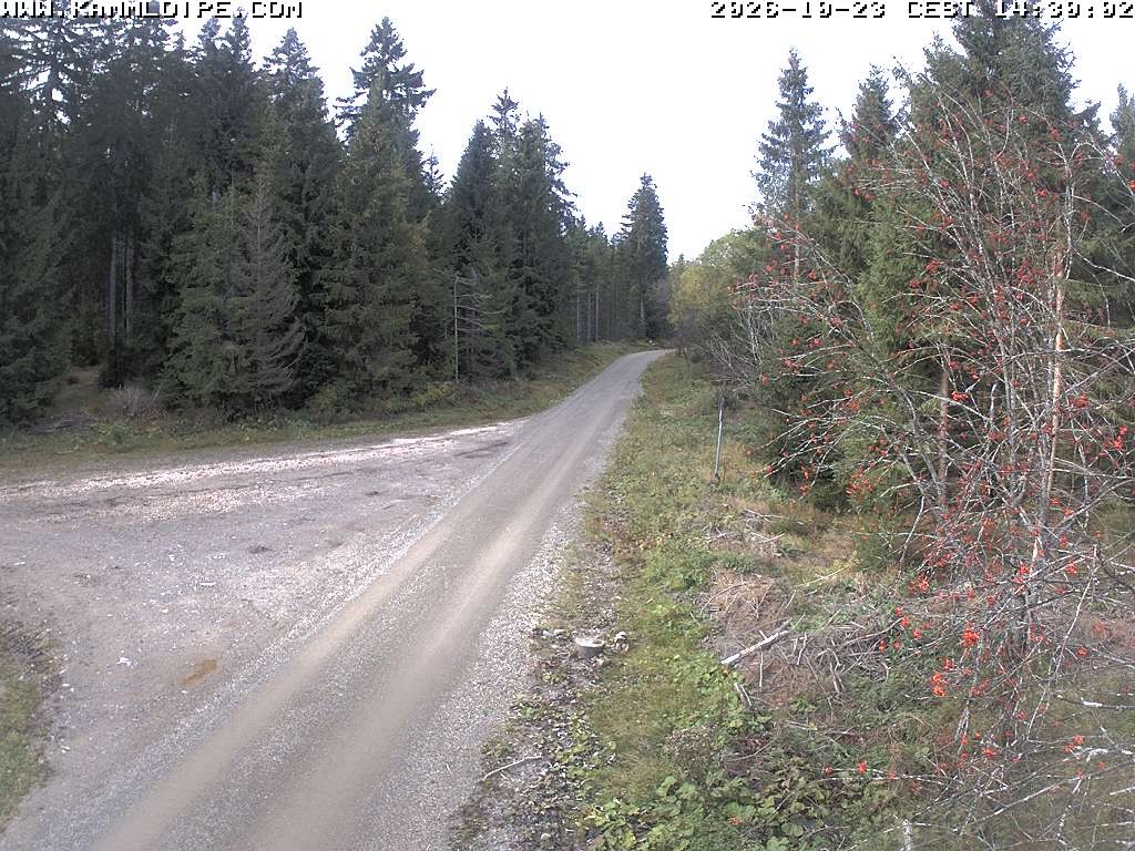 Archiv Foto Webcam Talsperre Carlsfeld
