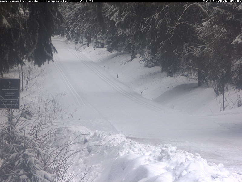 Archiv Foto Webcam Hotel Kranichsee