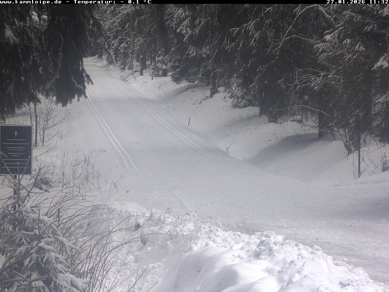 Archiv Foto Webcam Hotel Kranichsee