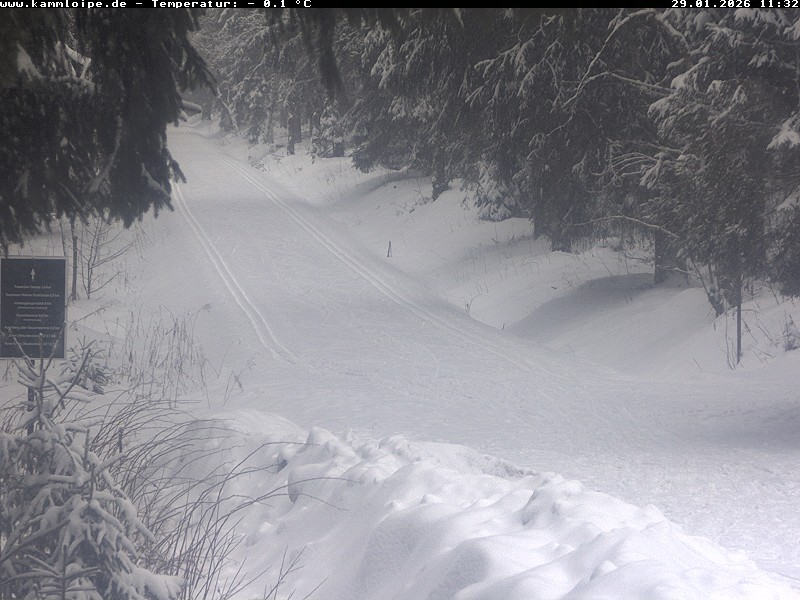 Archiv Foto Webcam Hotel Kranichsee