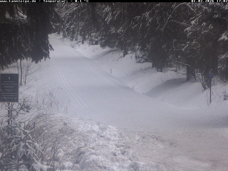 Archiv Foto Webcam Hotel Kranichsee