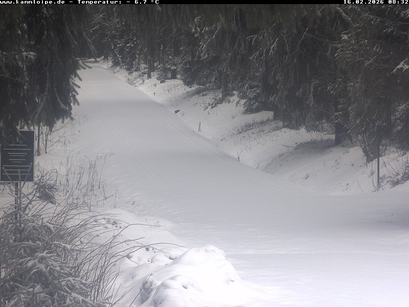 Archiv Foto Webcam Hotel Kranichsee