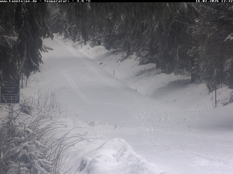 Archiv Foto Webcam Hotel Kranichsee