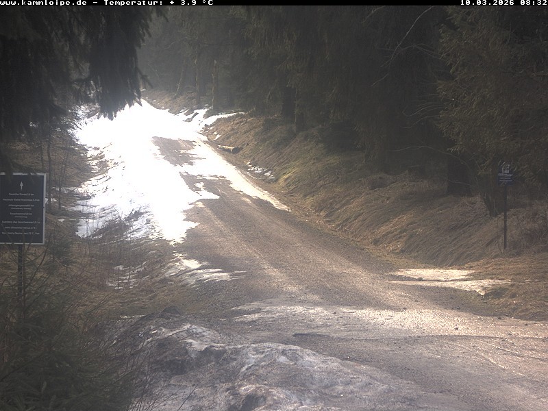 Archiv Foto Webcam Hotel Kranichsee