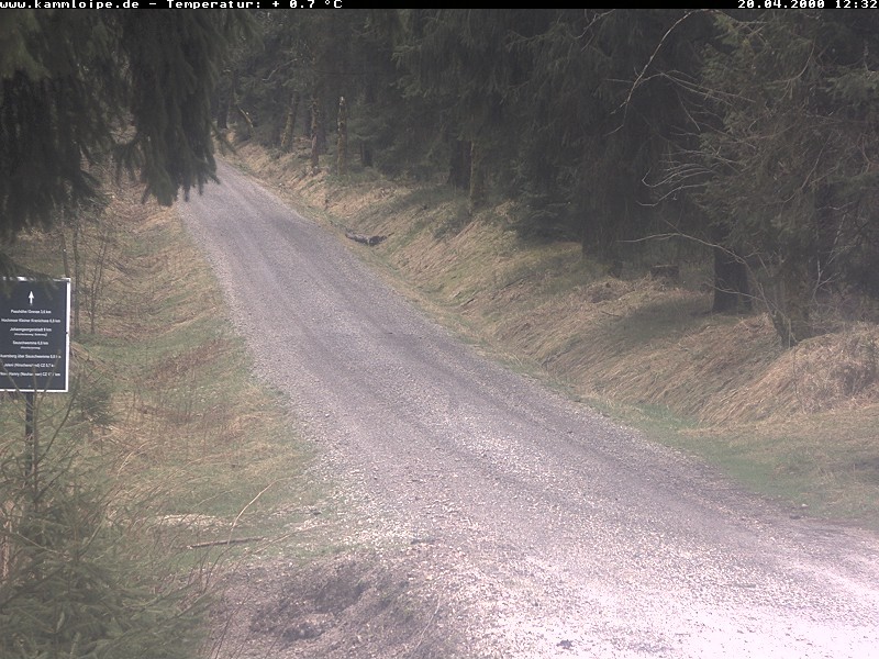 Archived image Webcam Hotel Kranichsee Weitersglashütte