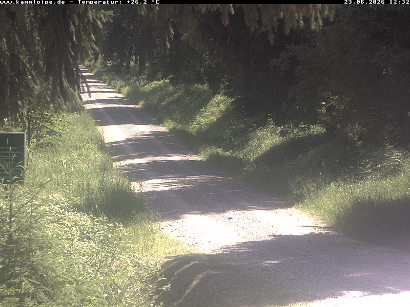 Archiv Foto Webcam Hotel Kranichsee