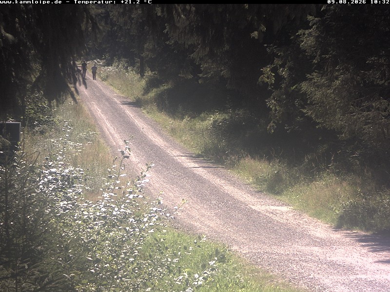 Archiv Foto Webcam Hotel Kranichsee