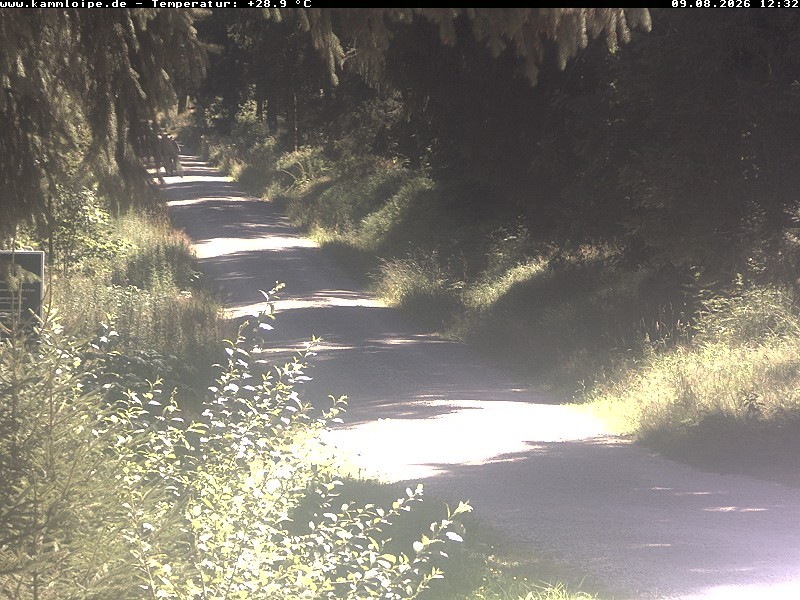 Archiv Foto Webcam Hotel Kranichsee