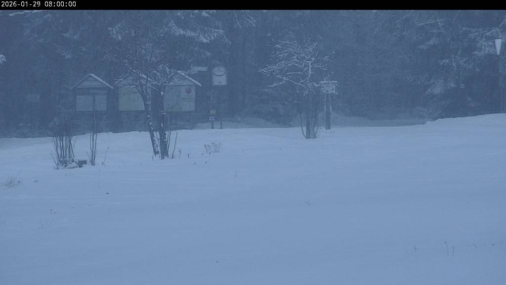 Archiv Foto Webcam Waldpension Am Schwefelbach