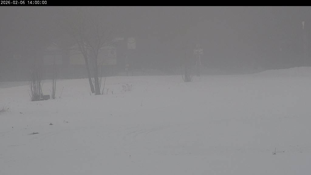 Archiv Foto Webcam Waldpension Am Schwefelbach