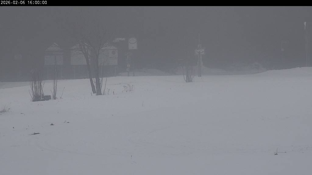 Archiv Foto Webcam Waldpension Am Schwefelbach