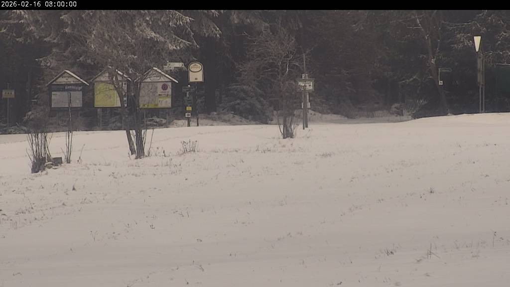 Archiv Foto Webcam Waldpension Am Schwefelbach