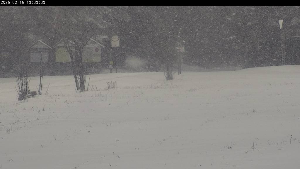 Archiv Foto Webcam Waldpension Am Schwefelbach