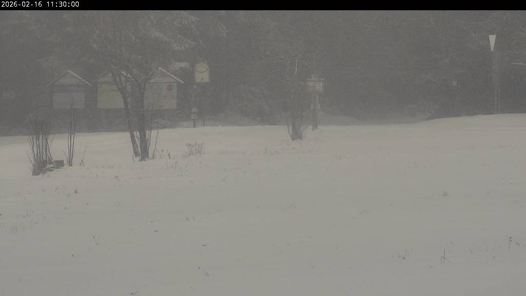 Archiv Foto Webcam Waldpension Am Schwefelbach