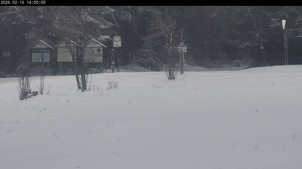 Archiv Foto Webcam Waldpension Am Schwefelbach