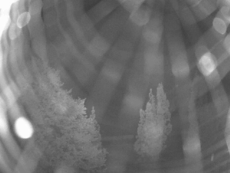 Archived image Webcam Lake Olbersdorf
