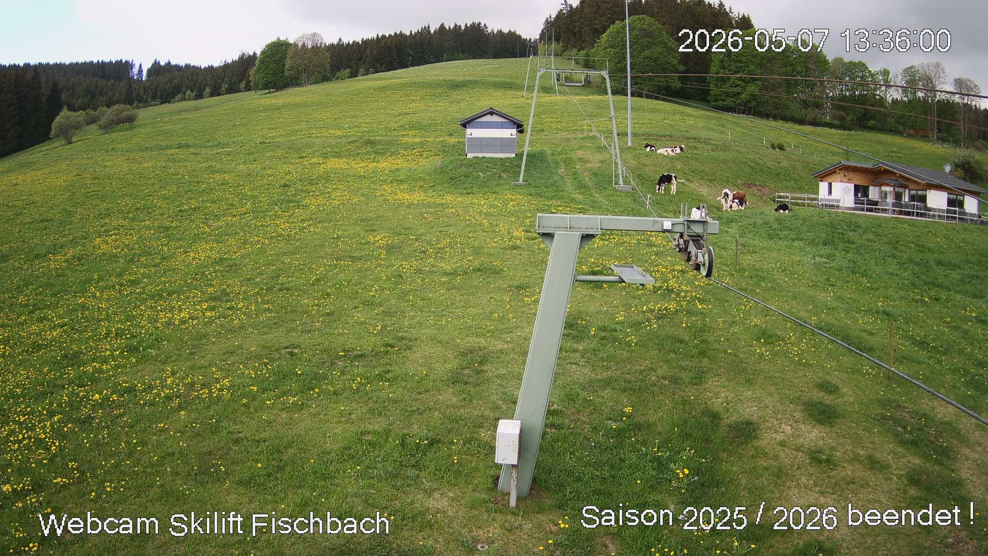 Archiv Foto Webcam Fischbach am Schluchsee