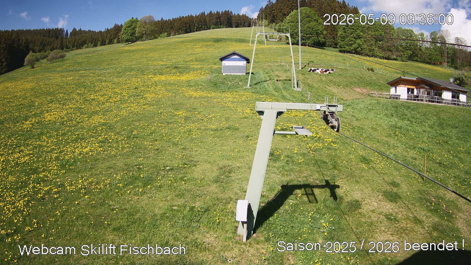 Archiv Foto Webcam Fischbach am Schluchsee