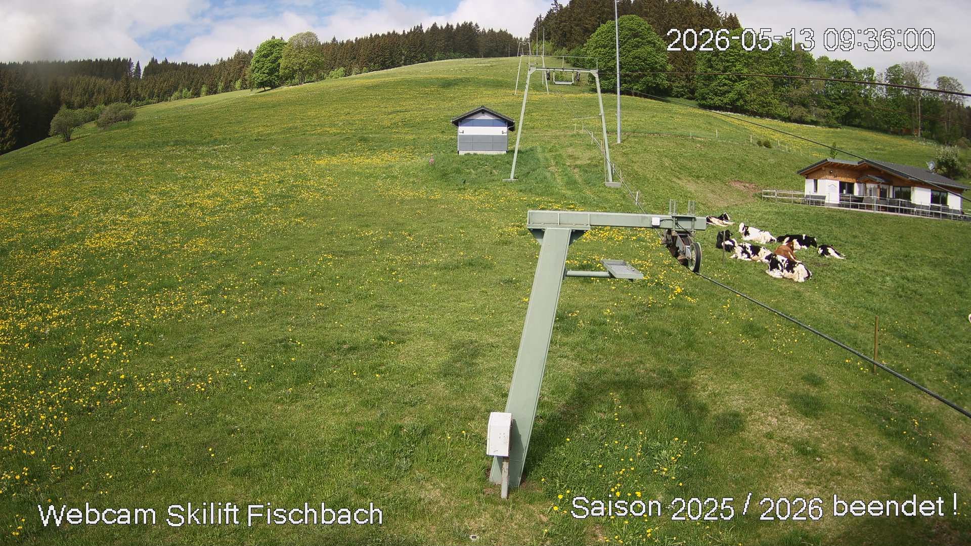 Archiv Foto Webcam Fischbach am Schluchsee