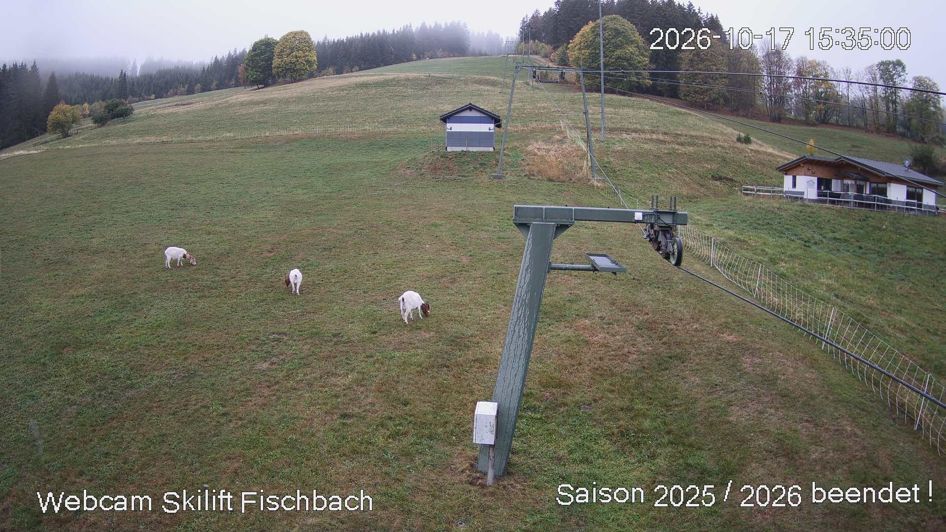 Archived image Webcam View at Fischbach at the Schluchsee