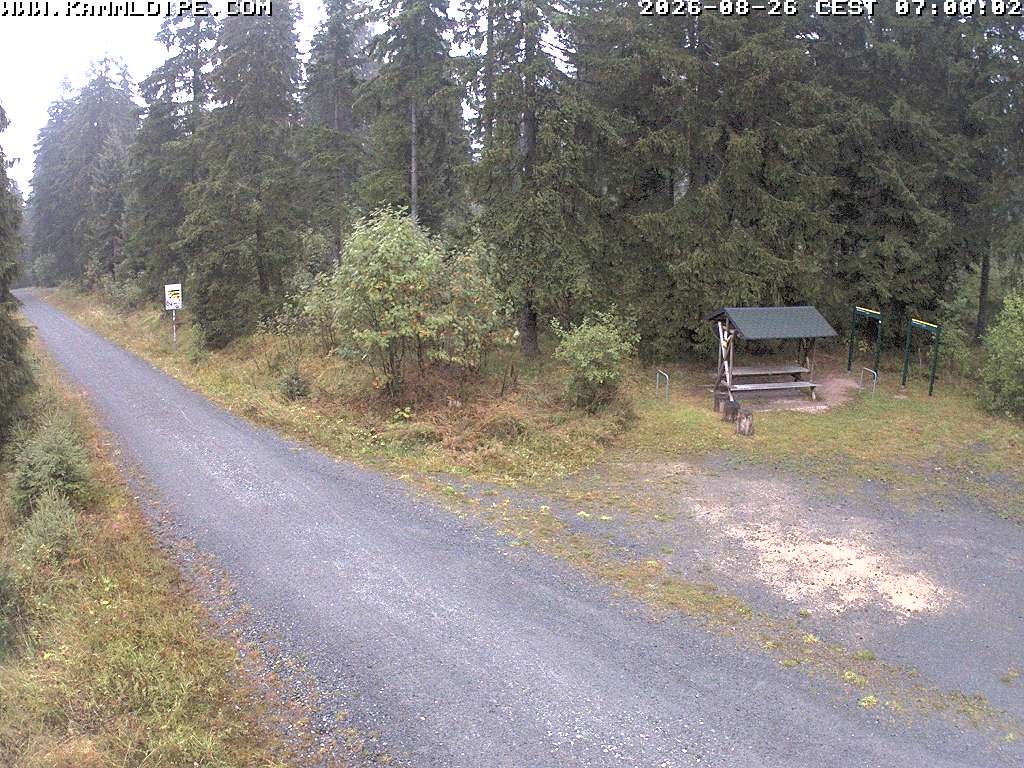 Archived image Webcam Hirschenstander Pass Ore Mountains