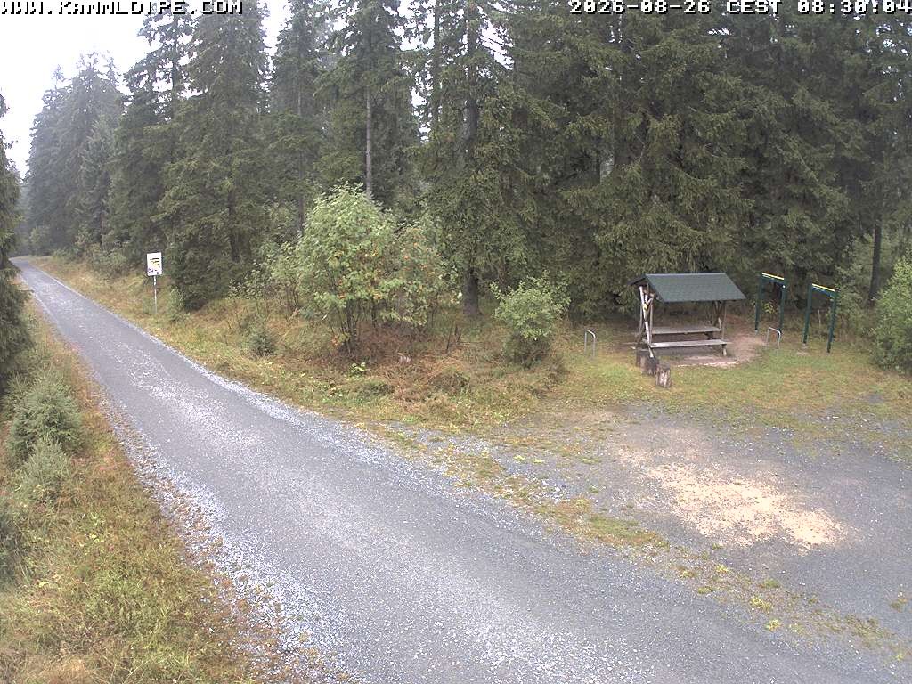 Archived image Webcam Hirschenstander Pass Ore Mountains