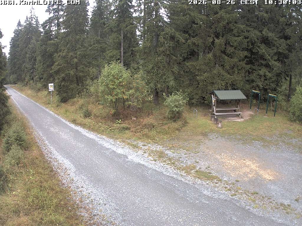 Archived image Webcam Hirschenstander Pass Ore Mountains