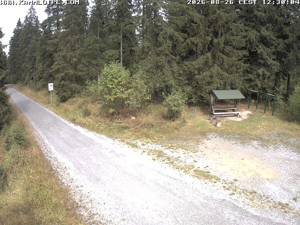 Archived image Webcam Hirschenstander Pass Ore Mountains