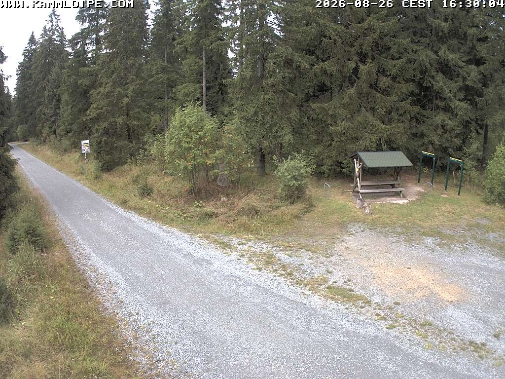 Archived image Webcam Hirschenstander Pass Ore Mountains