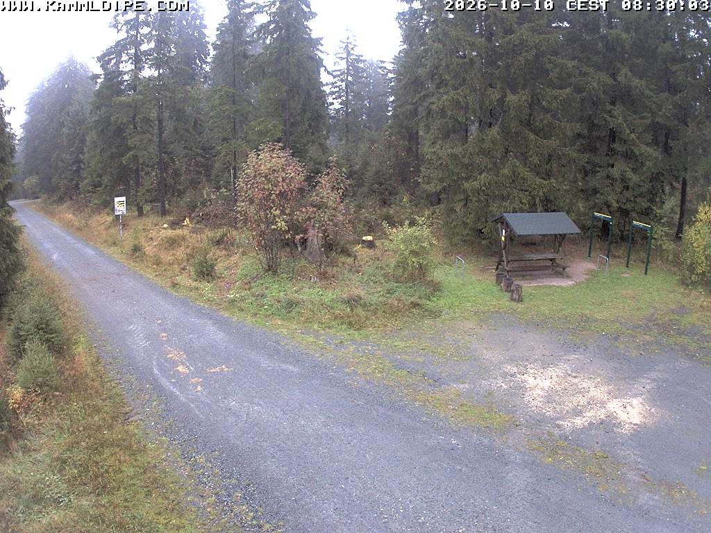 Archived image Webcam Hirschenstander Pass Ore Mountains