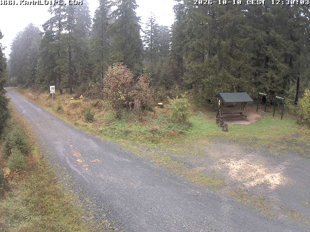Archived image Webcam Hirschenstander Pass Ore Mountains