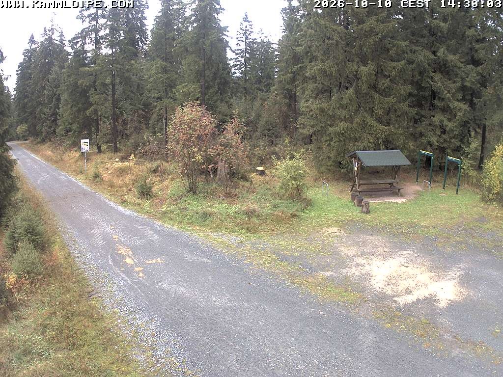 Archived image Webcam Hirschenstander Pass Ore Mountains