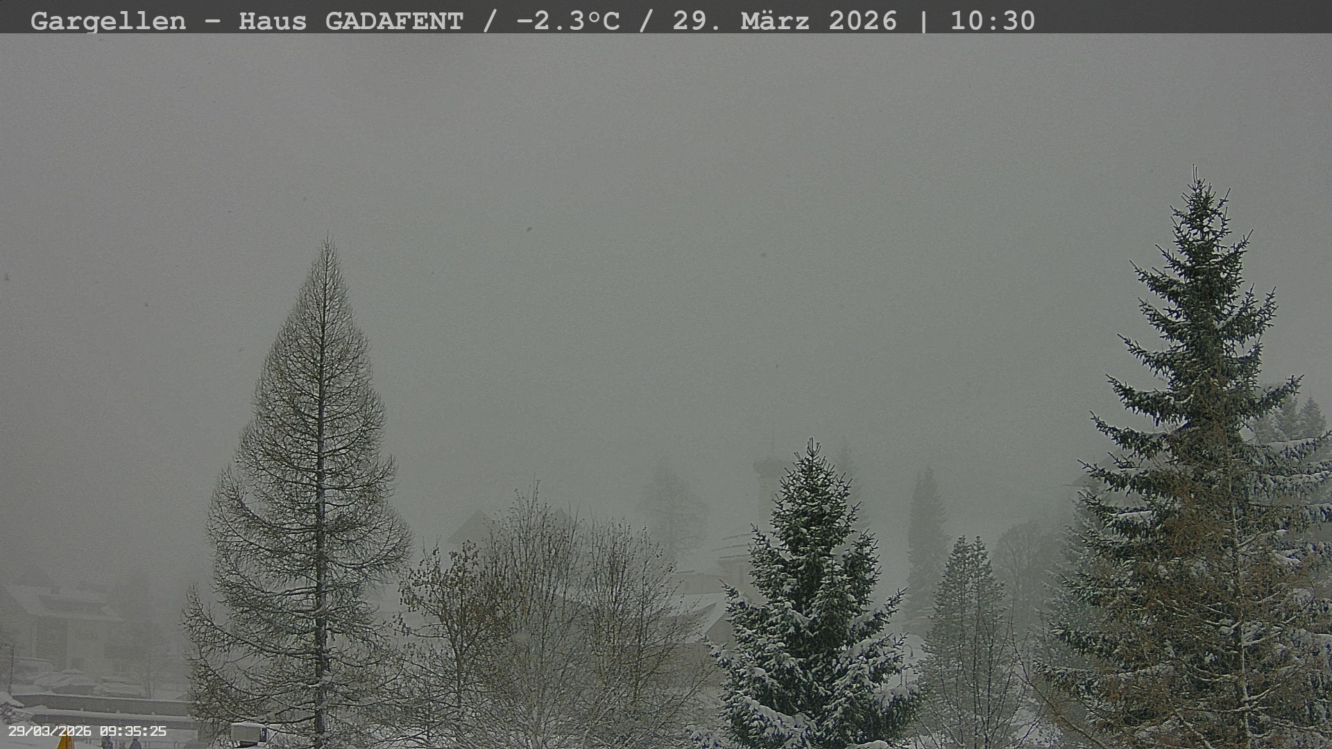Archived image Webcam Schafberg Gargellen