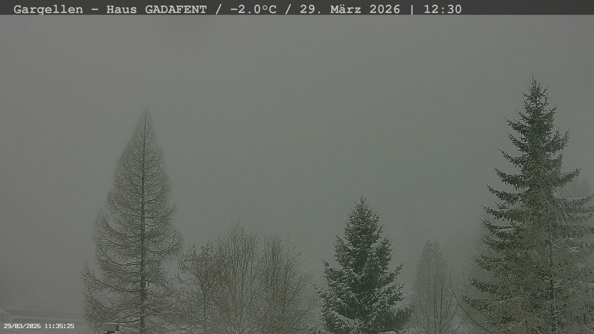 Archived image Webcam Schafberg Gargellen