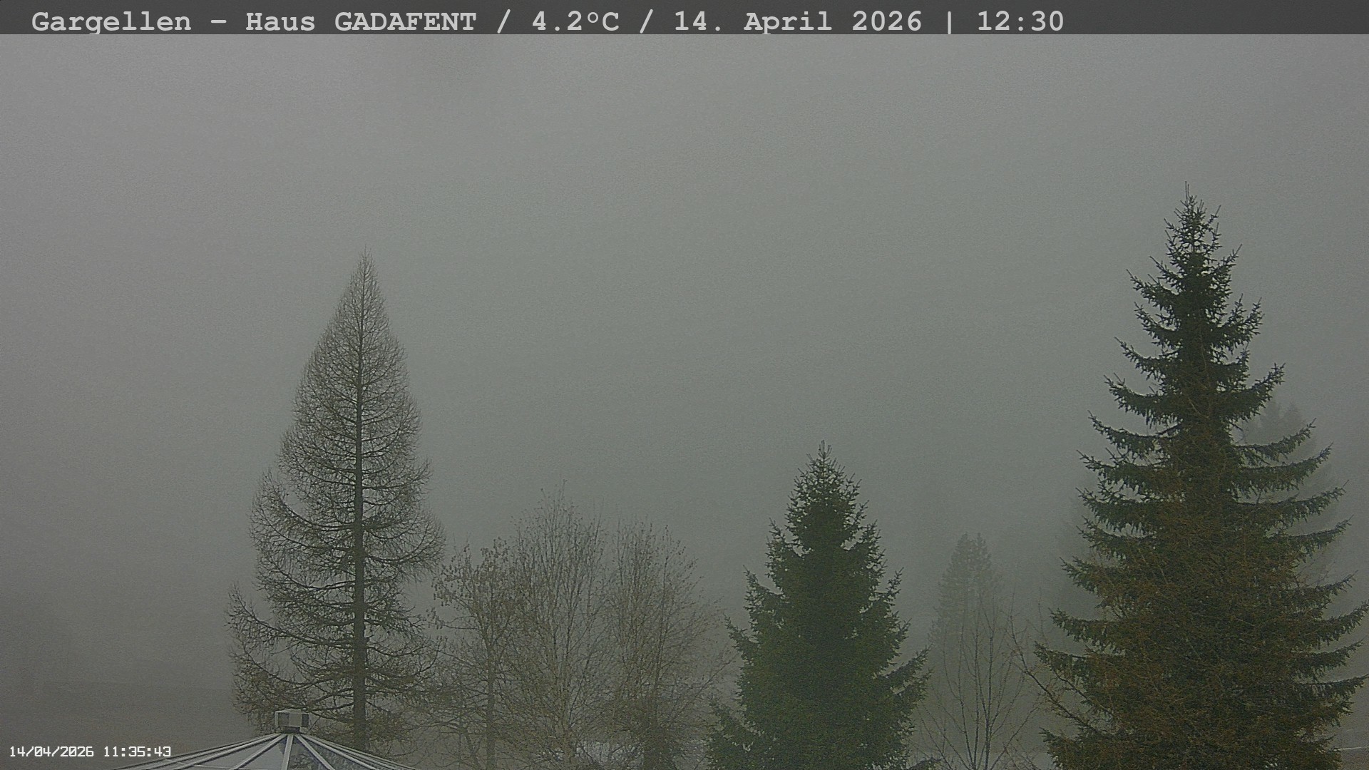 Archived image Webcam Schafberg Gargellen