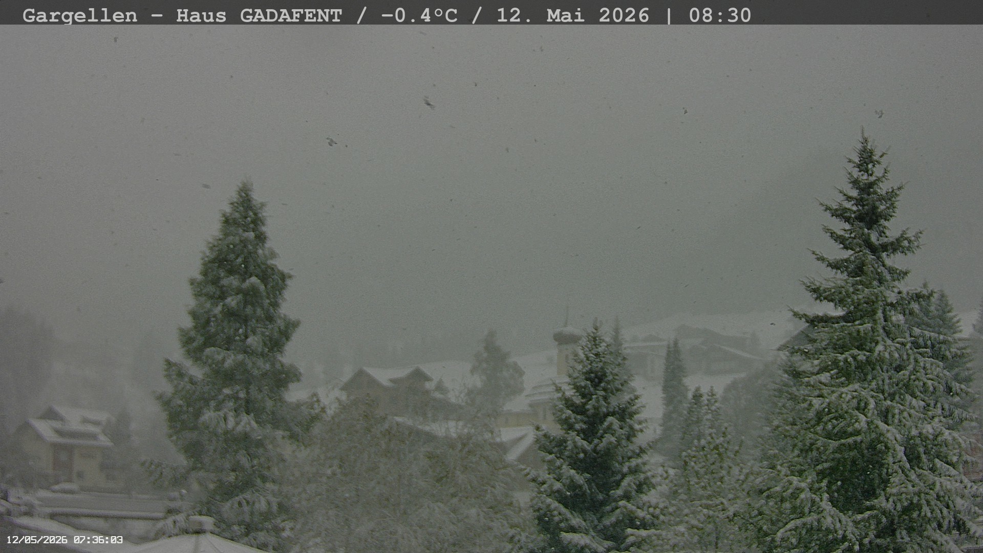 Archived image Webcam Schafberg Gargellen