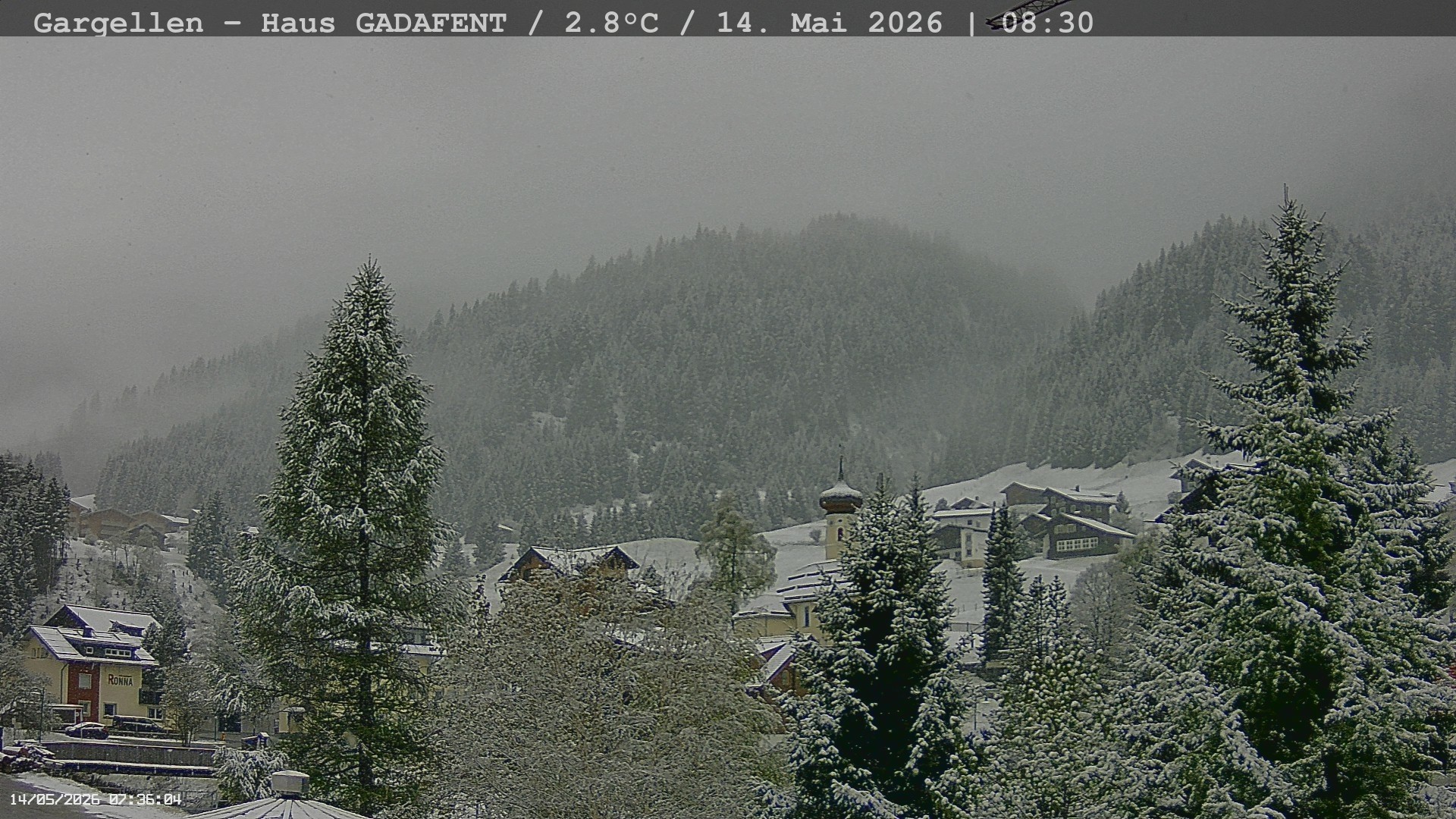 Archiv Foto Webcam Gargellen - Schafberg