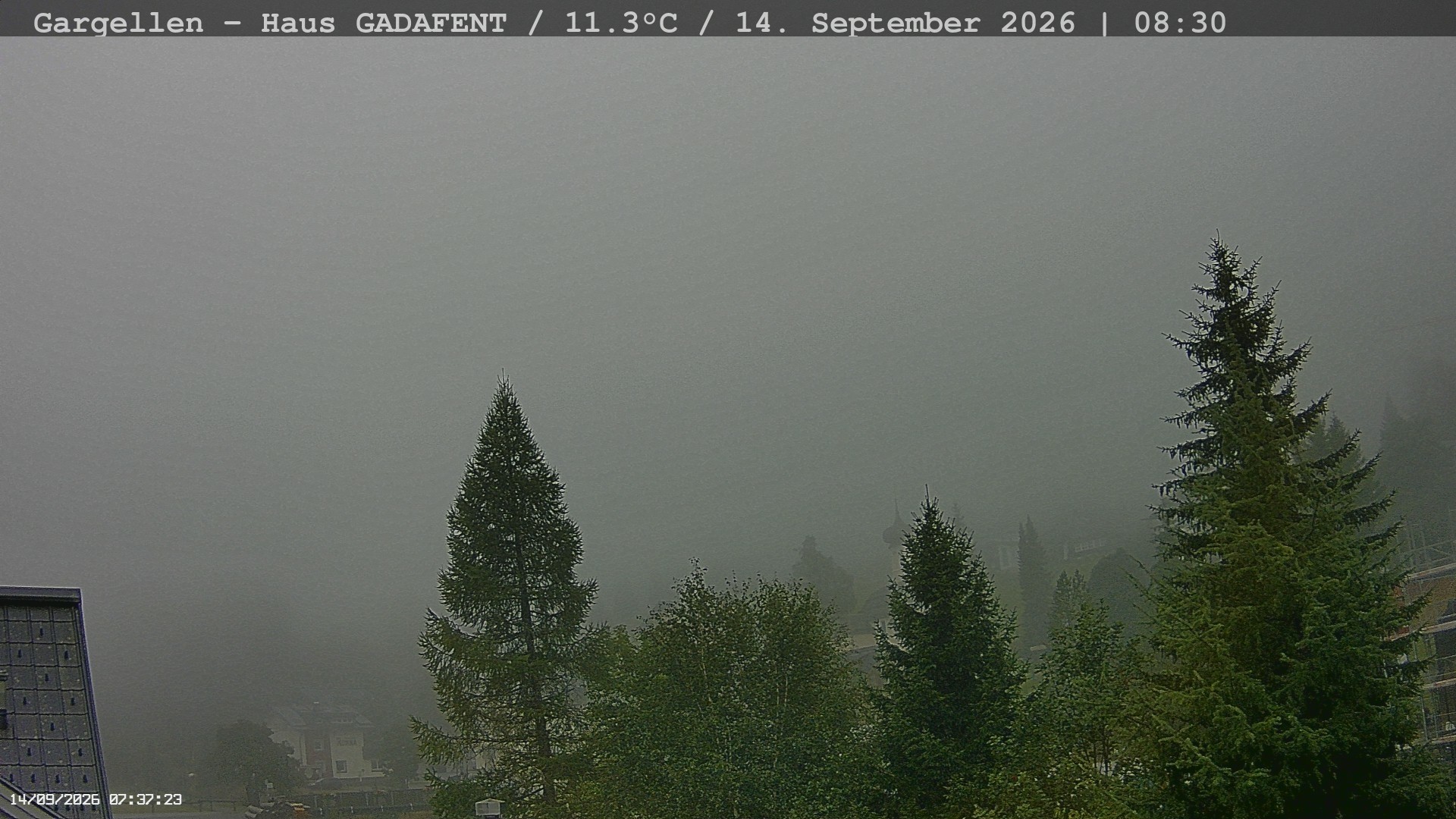Archiv Foto Webcam Gargellen - Schafberg