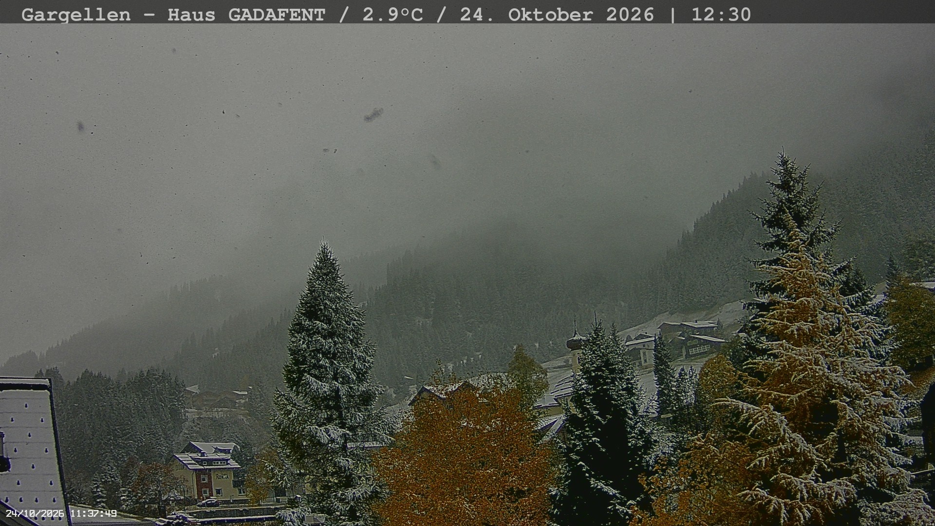 Archiv Foto Webcam Gargellen - Schafberg