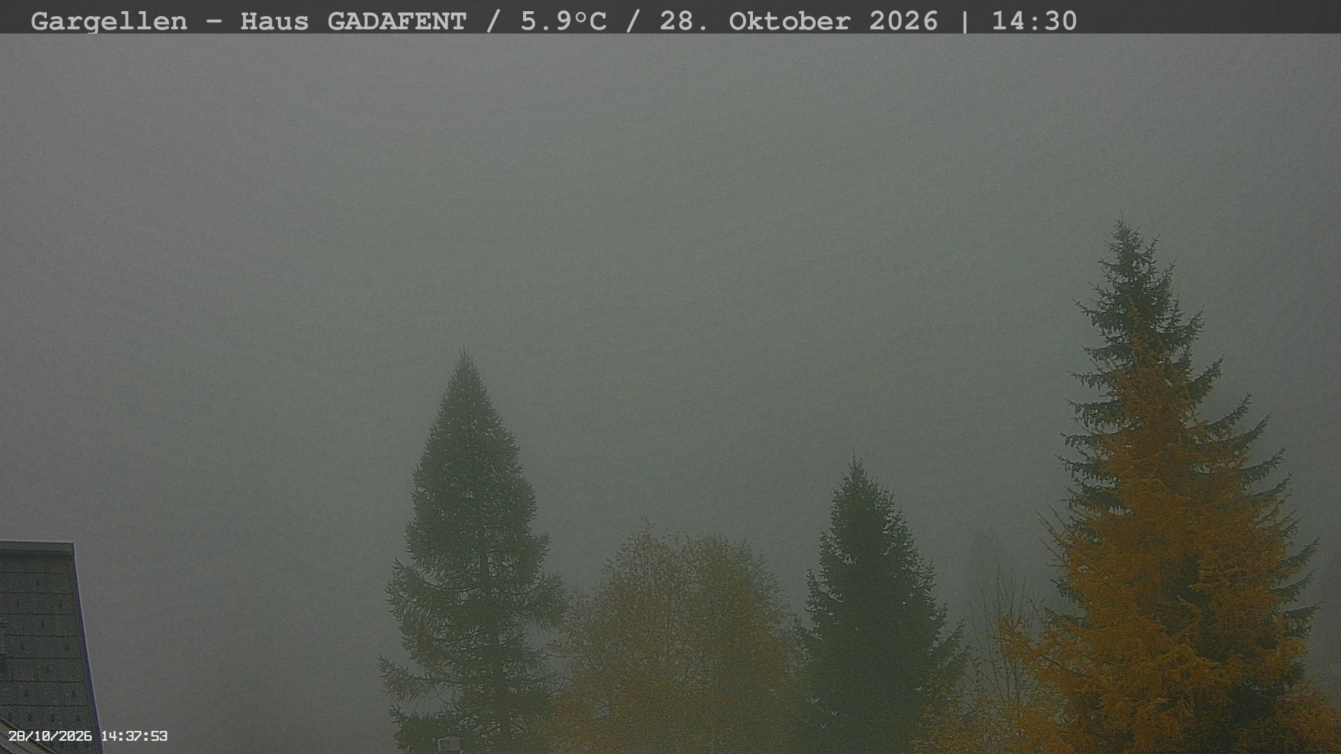 Archived image Webcam Schafberg Gargellen