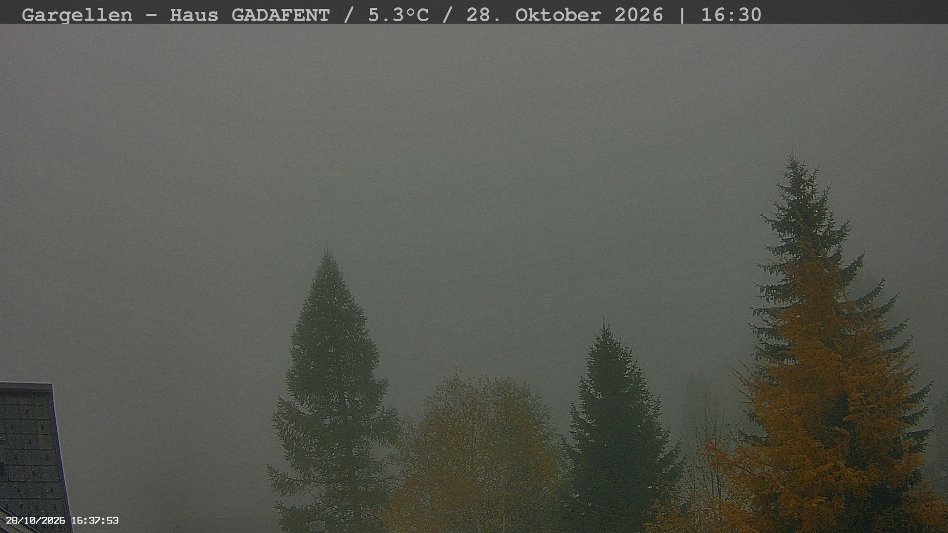 Archived image Webcam Schafberg Gargellen