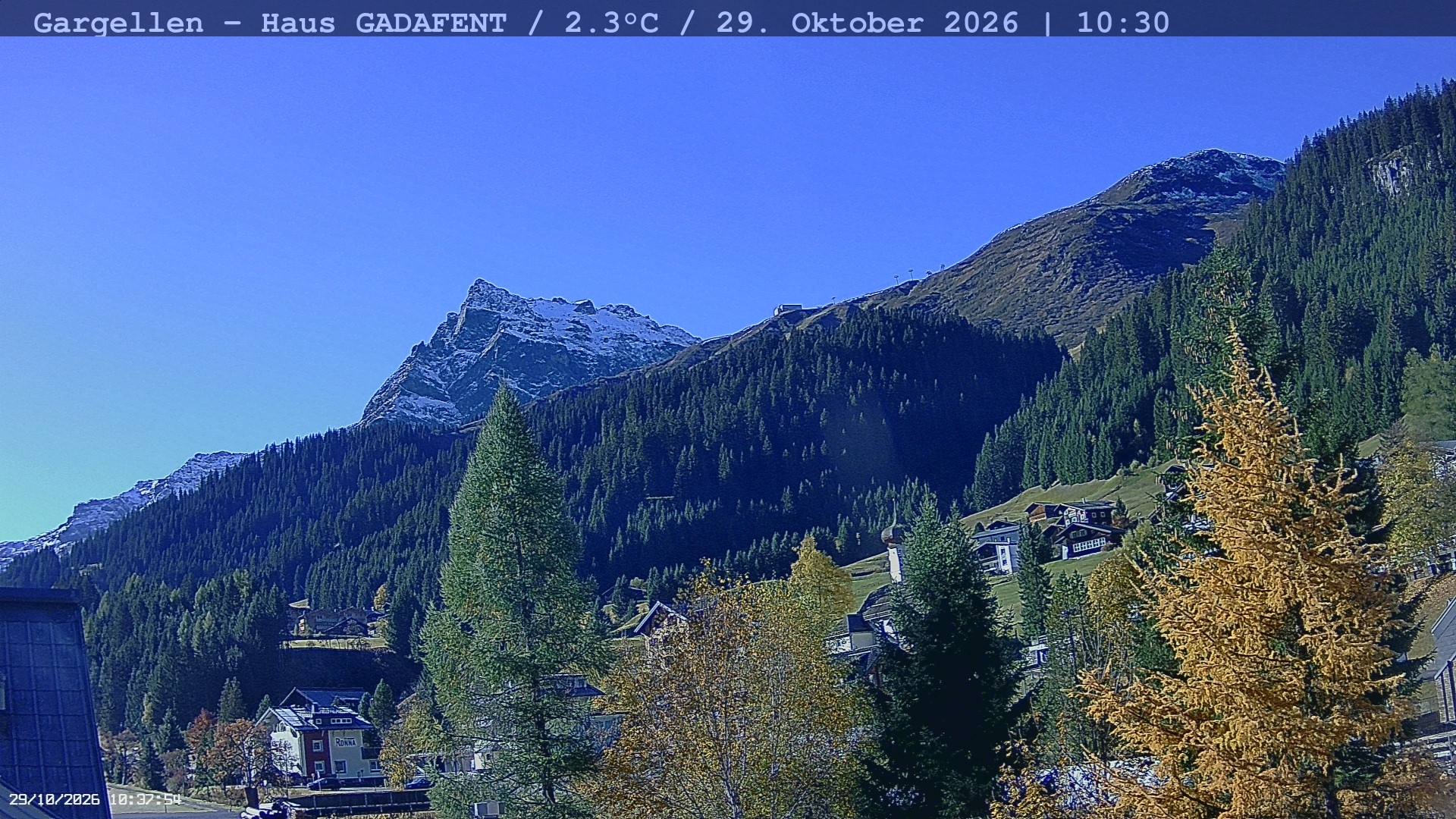 Archiv Foto Webcam Gargellen - Schafberg