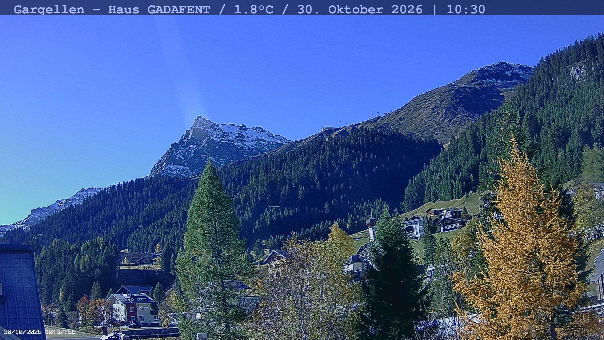 Archiv Foto Webcam Gargellen - Schafberg