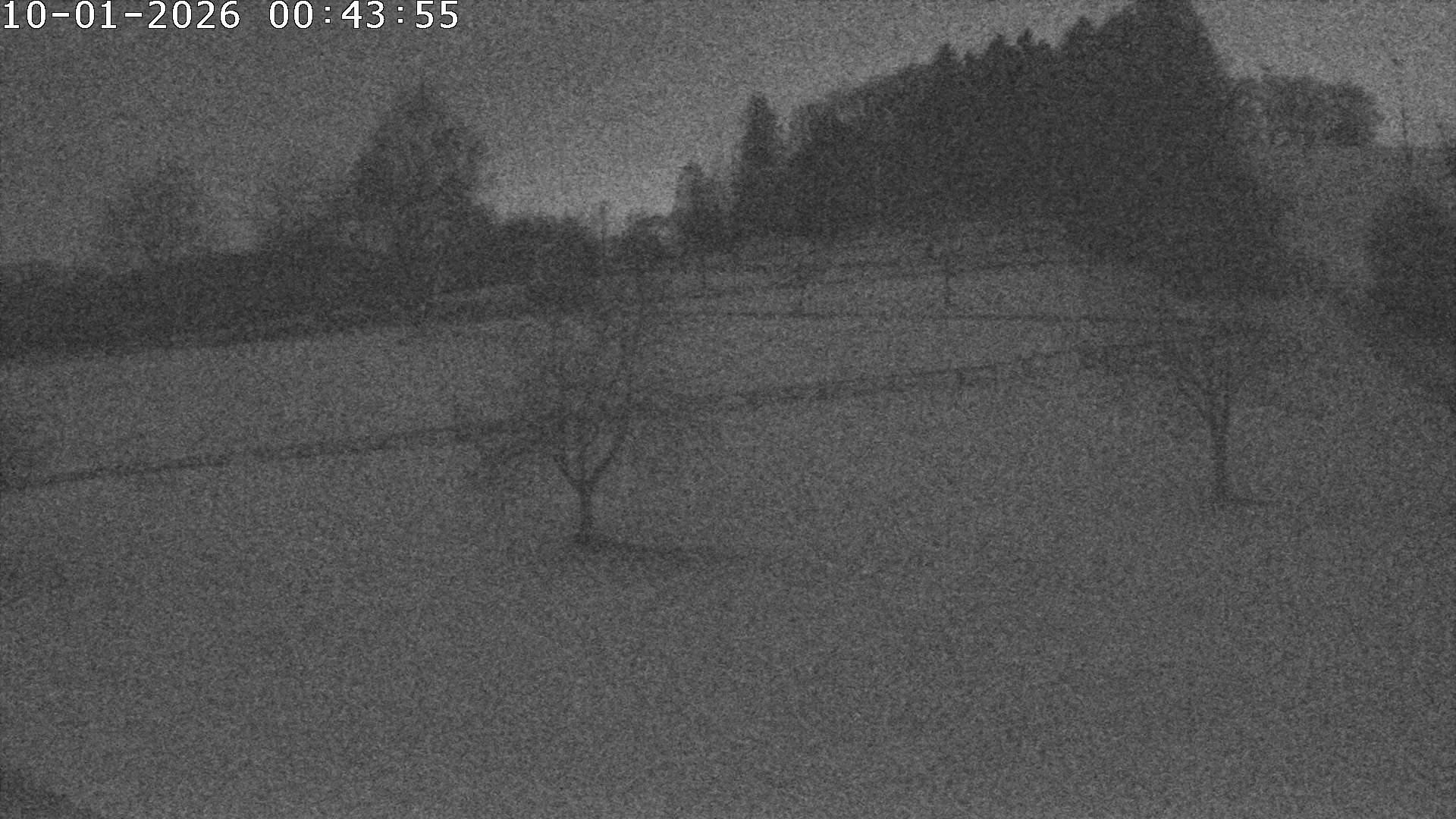 Archiv Foto Webcam Römerstein Bobbahn