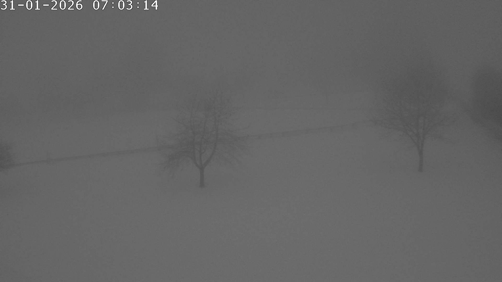 Archiv Foto Webcam Römerstein Bobbahn